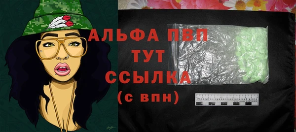 хмурый Няндома