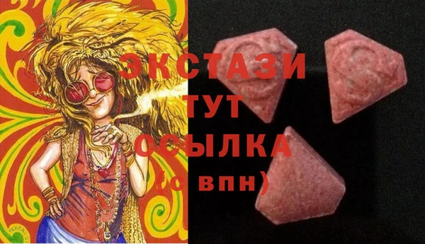 хмурый Няндома