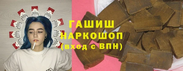 хмурый Няндома