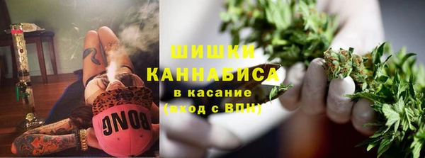хмурый Няндома