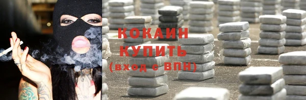 хмурый Няндома