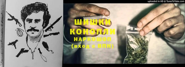 хмурый Няндома
