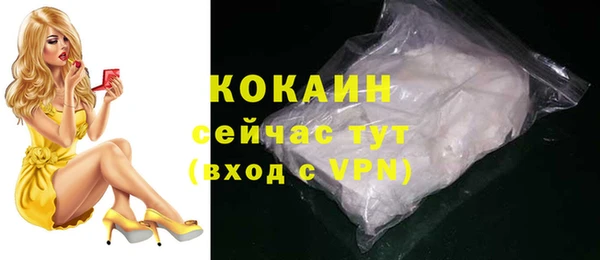 хмурый Няндома