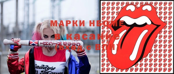 хмурый Няндома