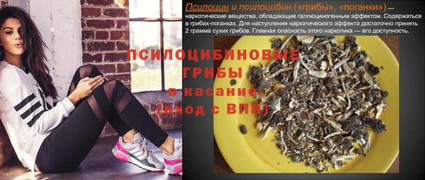 гидропоника Нязепетровск