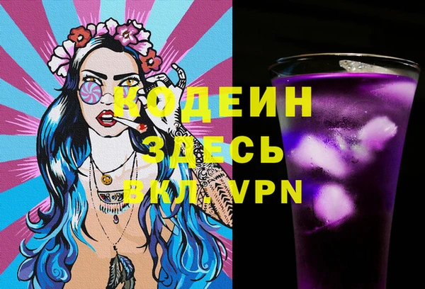 хмурый Няндома