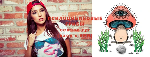 хмурый Няндома