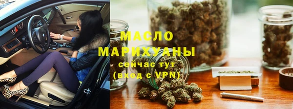 хмурый Няндома