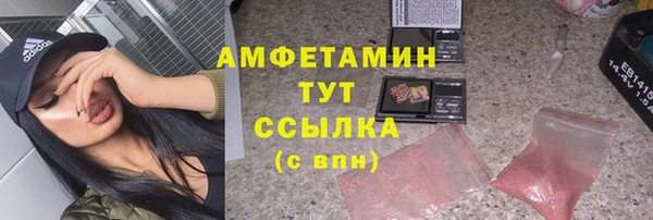 хмурый Няндома