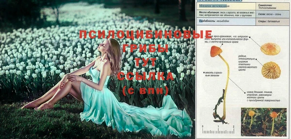хмурый Няндома