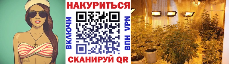 купить наркотик  Слободской  Канабис планчик 